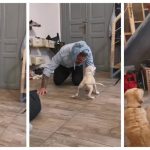 Στην αγκαλιά του Γιώργου Μαυρίδη το σκυλάκι που βασανίστηκε στην Ξάνθη