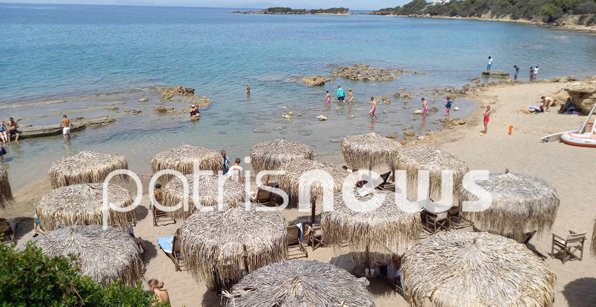 Πρώτα θερινά μακροβούτια στις παραλίες της Ηλείας (βίντεο)