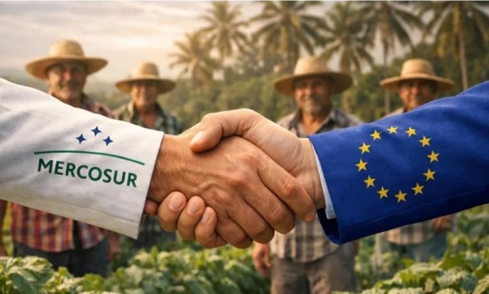 Ανησυχία για την συμφωνία Mercosur - Τι λένε επιχειρηματίες, χημικοί, τεχνικοί τροφίμων και φορείς του αγροδιατροφικού κλάδου - PatrisNews - Εφημερίδα Πατρίς Ηλείας