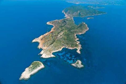 Τέσσερις νέες περιοχές της Ελλάδας εντάχθηκαν στο Διεθνές Δίκτυο Σημαντικών Περιοχών για τα Πουλιά-Οι δύο στη Μεσσηνία