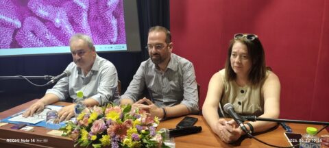 Νέα αναπτυξιακή σελίδα για το παράλιο μέτωπο Αχαΐας – Ηλείας