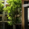 «Φύλλο και φτερό» το διαμέρισμα του 37χρονου που κατηγορείται για συμμετοχή στη Χαμάς – Οι λεπτομέρειες της επιχείρησης «ODIN»