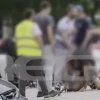 Καλλιθέα: Ποινικές διώξεις για το επεισόδιο του ομογενή με τους δύο Αιγύπτιους – Απίστευτα άγριες σκηνές ξυλοδαρμού από τα νέα αποκαλυπτικά βίντεο