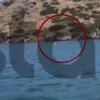 Συγκλονιστική διάσωση στα Μέγαρα: 14χρονος και μητέρα σώθηκαν αφού παρασύρθηκαν ανοιχτά και εντοπίστηκαν δίπλα σε βραχονησίδα