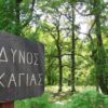 Καμπανάκι Πολιτικής Προστασίας: Πολύ υψηλός κίνδυνος πυρκαγιάς (Κατηγορία 4) το Σάββατο στη Δυτική Ελλάδα