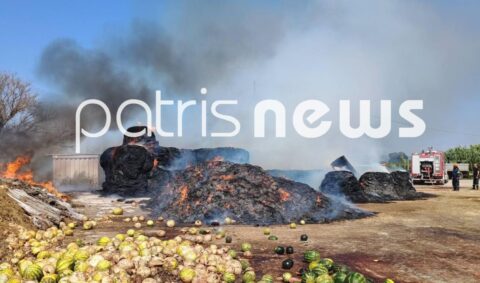 Φωτιά σε ξερά χόρτα στον Κόροιβο