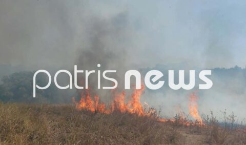 Ηλεία: Φωτιά στην Αγία Μαρίνα – Στο σημείο ισχυρές δυνάμεις της Πυροσβεστικής