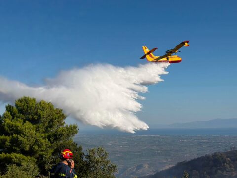 Ξεκινούν οι αυτοψίες για τις ζημιές από τις πυρκαγιές σε Άργος, Δυτική Αχαΐα και Αιγιάλεια