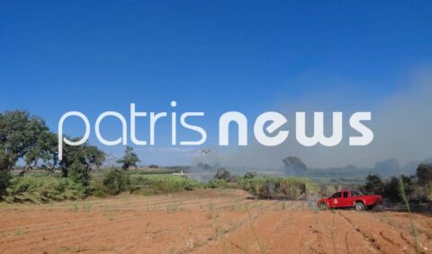 Βελτιωμένη η εικόνα στα πύρινα μέτωπα της Ηλείας – Αποκαταστάθηκε η κυκλοφορία στην Ολυμπία Οδό