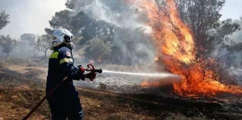 Φωτιά στη Σαλαμίνα: Δύο νεκροί, καμένα σπίτια και τραυματίες – Σε εξέλιξη η επιχείρηση εκκένωσης