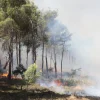 Ριπές που φτάνουν τα 70 χλμ. στην Αττικοβοιωτία – Τι προβλέπει το Αστεροσκοπείο για αύριο