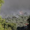 Βοιωτία: Κινδυνεύει ο οικισμός Λιβαδόστρα από τη φωτιά – Στα 10 μέτρα από τα πρώτα σπίτια οι φλόγες