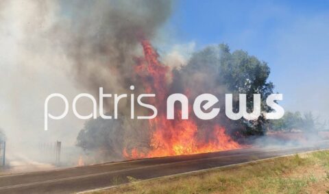 Φωτιά στη Μέλισσα – Μεγάλο πύρινο μέτωπο στα Κοττέικα