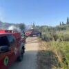 Δυτική Αχαΐα: Στις επάλξεις οι εθελοντές του ΣΕΔΙΠ – Δύο φωτιές μέσα σε λίγες ώρες