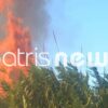 Υπό πλήρη έλεγχο η πυρκαγιά στη Βάρδα – Καθοριστική η επέμβαση επίγειων και εναέριων δυνάμεων