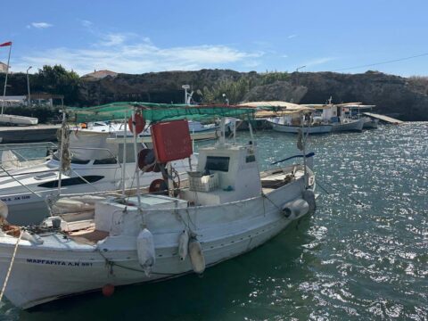 Λακωνία: Σε απόγνωση οι αλιείς από το κόστος παραγωγής και την επέλαση του λαγοκέφαλου