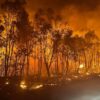 Ηλεία: Κοινή παρέμβαση των επτά δημάρχων στον Μητσοτάκη για το Σχέδιο Ανασυγκρότησης
