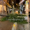 Λαμία: Άκουσε τον θόρυβο και γλίτωσε την τελευταία στιγμή – Μεγάλο δέντρο έπεσε σε πεζόδρομο
