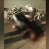 Δολοφονία στη Γλυφάδα: Ενέδρα θανάτου στον 52χρονο με πυροβολισμούς στην πλάτη – Τι ερευνά η ΕΛ.ΑΣ.
