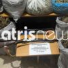 Ηλεία: Νέα μεγάλη φυτεία κάνναβης εντόπισαν οι αστυνομικοί – Ξεριζώθηκαν πάνω από 100 φυτά