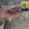Αχαΐα: Θρήνος για τον 51χρονο Γιάννη Παπαβραμόπουλο – Τον καταπλάκωσε πεύκο στην Τριταία (ΦΩΤΟ)