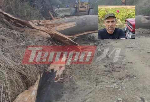 Αχαΐα: Θρήνος για τον 51χρονο Γιάννη Παπαβραμόπουλο – Τον καταπλάκωσε πεύκο στην Τριταία (ΦΩΤΟ)