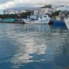 Σε τροχιά κινητοποιήσεων οι αλιείς της Πάτρας – Μπλόκο στις εισαγωγές και συγκέντρωση την Κυριακή